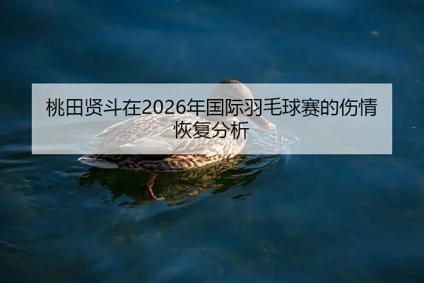 桃田贤斗在2026年国际羽毛球赛的伤情恢复分析