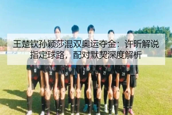 wang-chu-qin-sun-ying-sha-hun-shuang-ao-yun-duo-jin-xu-xin-jie-shuo-zhi-ding-qiu-lu-pei-dui-mo-qi-shen-du-jie-xi-3-917.jpg