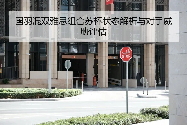 国羽混双雅思组合苏杯状态解析与对手威胁评估