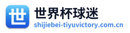 世界杯球迷